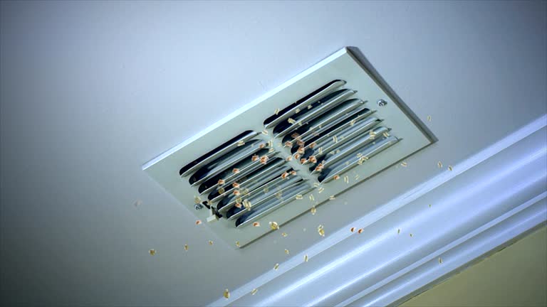 Best Dryer Vent Cleaning Services  in Laughlin Af, TX